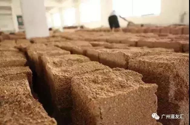 武当酒道,武当精酿