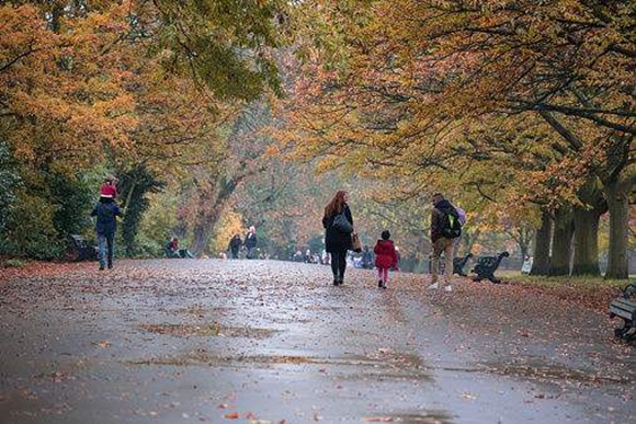 申城一周：冷空气还有“3秒”到达战场，金沙江路大渡河路口发生车祸
