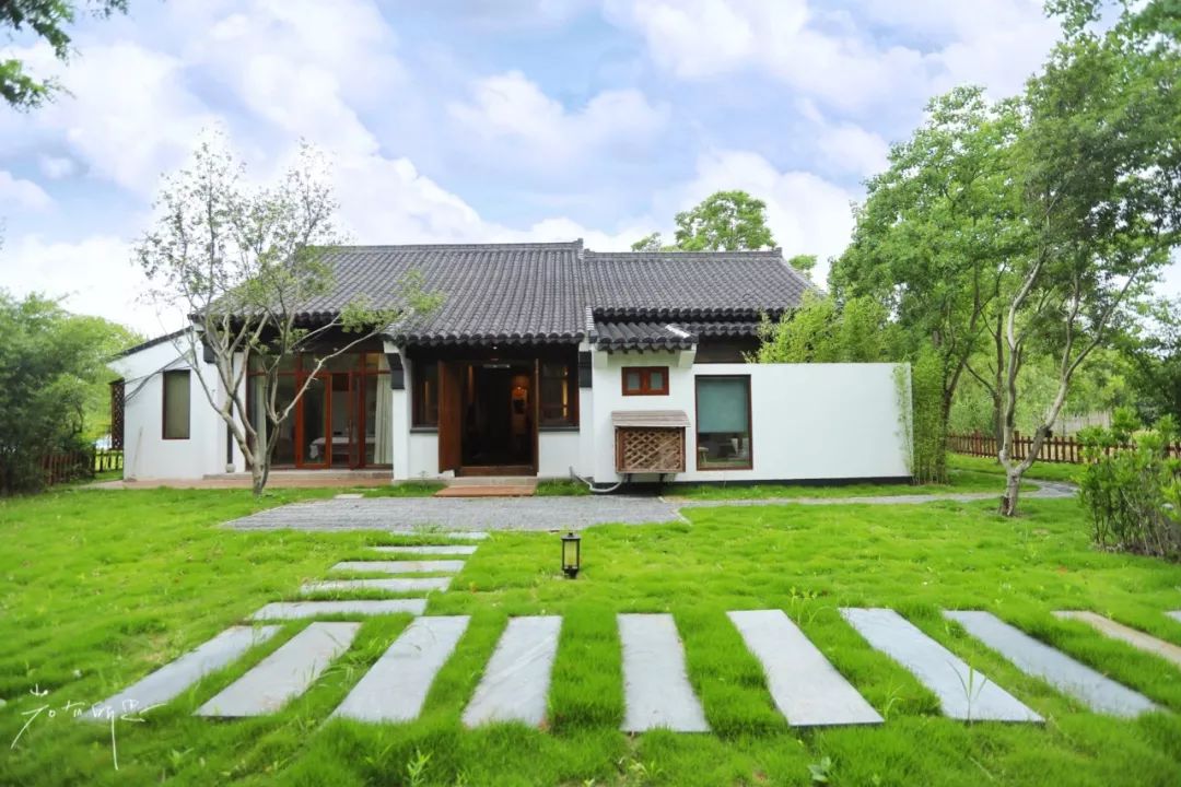 三月赏花一日游上海景点,本月上海赏花一日游最佳去处