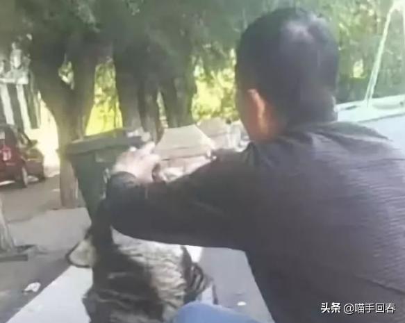 哈士奇被奶奶喂饭真吃不下去了,哈士奇吃不吃没关系