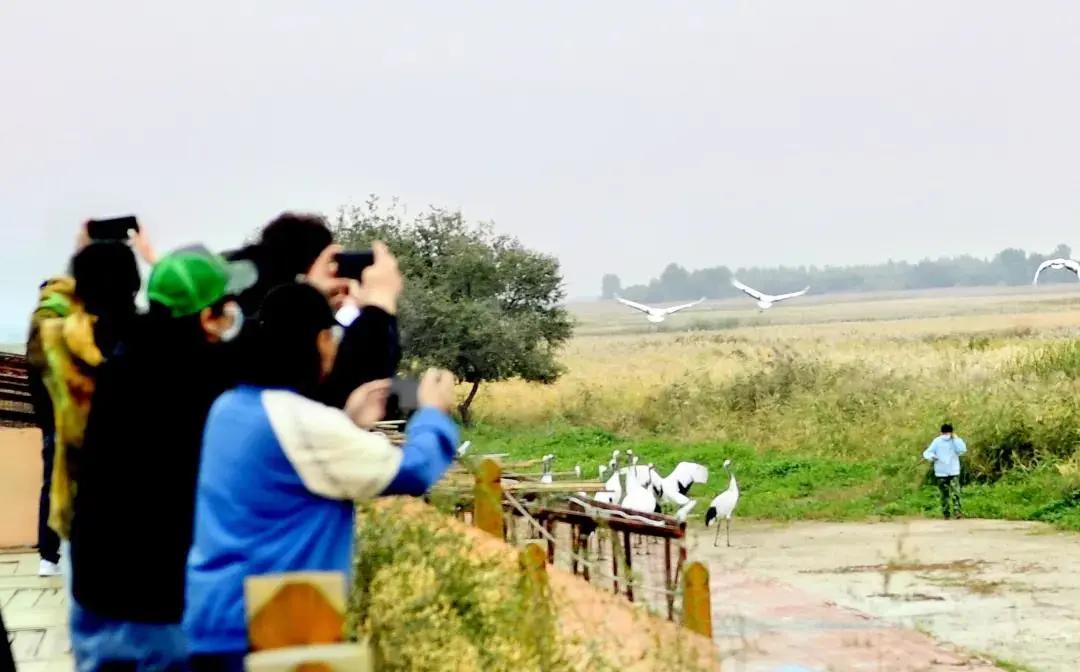 一派和谐的自然风光,一派祥和的自然风光