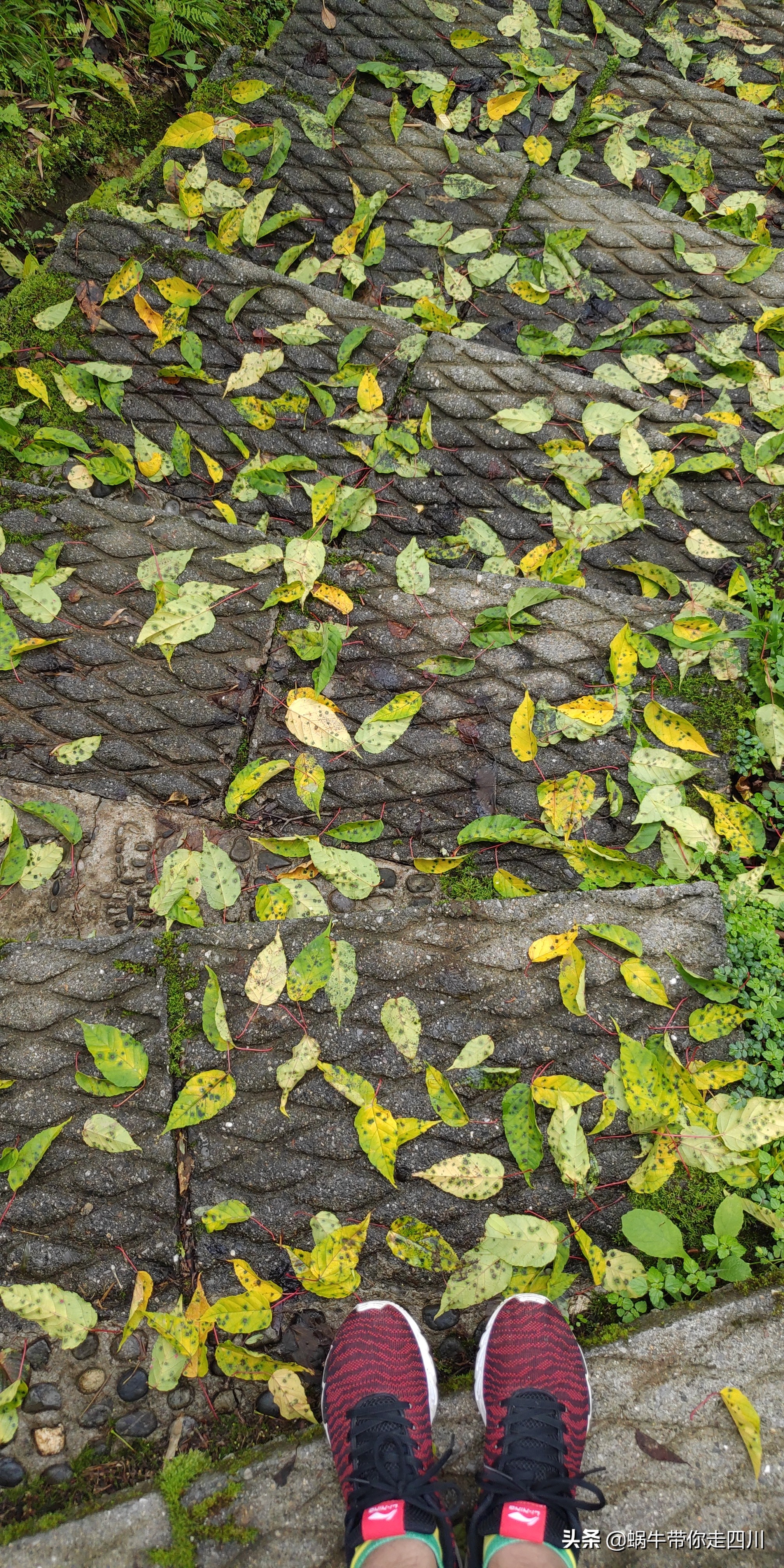一家三口重庆到拉萨旅游攻略预算,一家三口成都去拉萨大概要多少钱