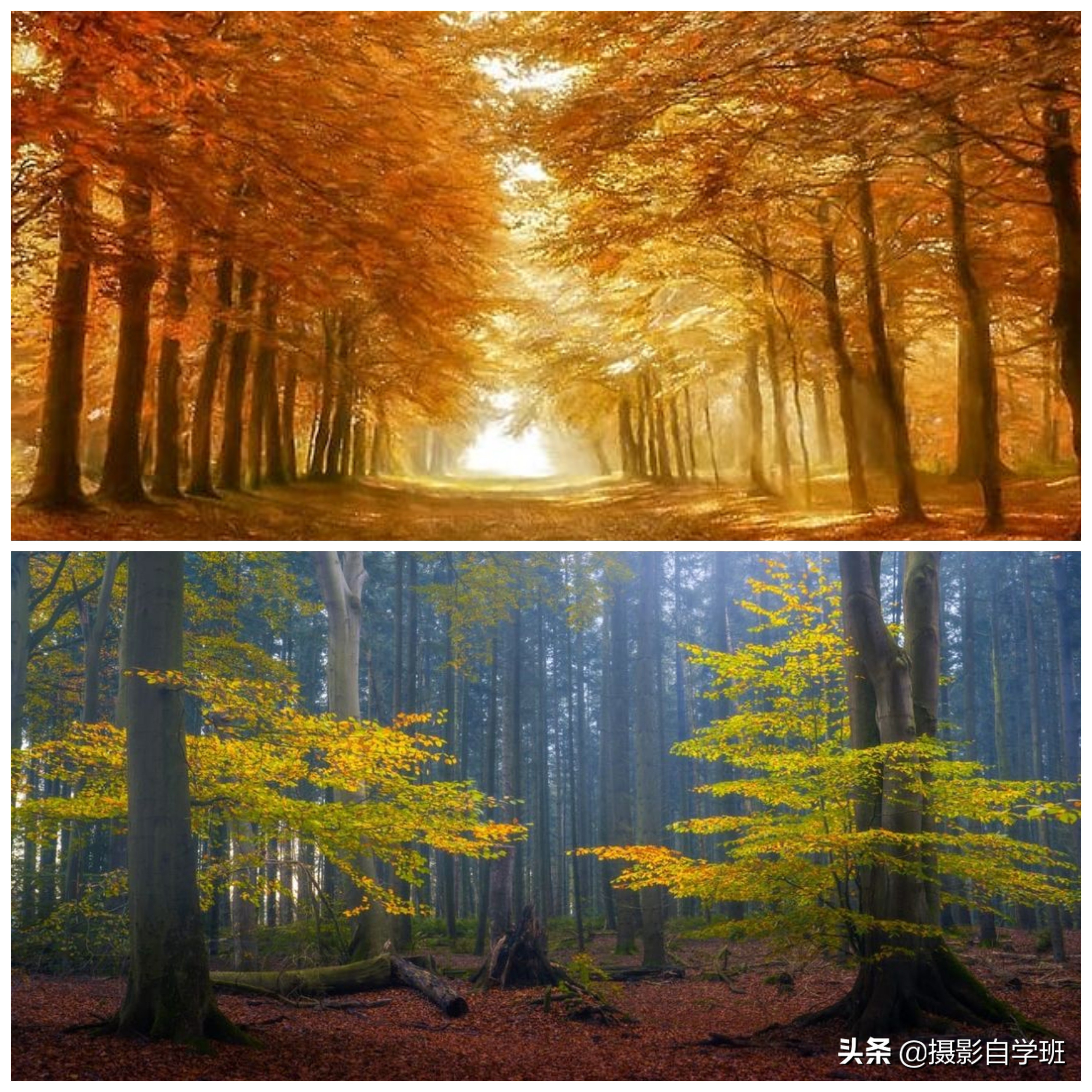 风光摄影作品拍摄的技巧有哪些,风光摄影必学的10个拍摄技巧