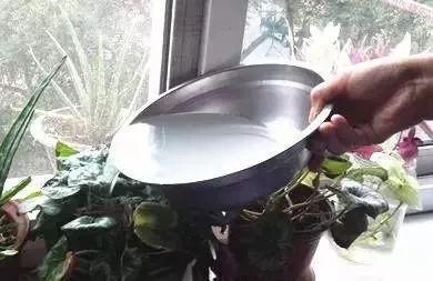 过期药的妙用,过期药品的妙用有哪些