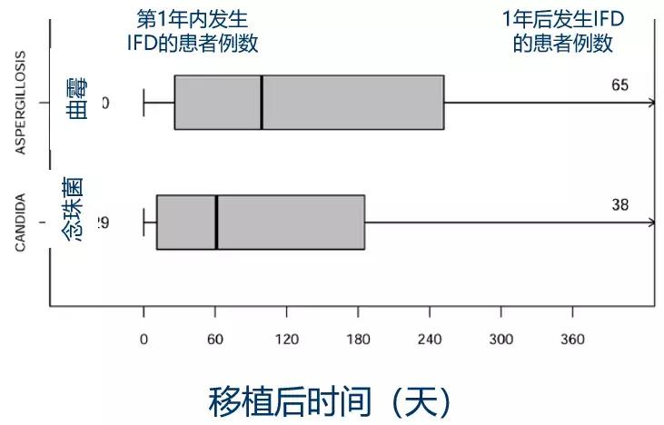 怎样确诊肺部真菌感染,侵袭性肺真菌病的确诊标准有哪些