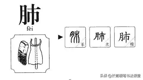 最容易写错字的4个字,容易写错的几个错别字