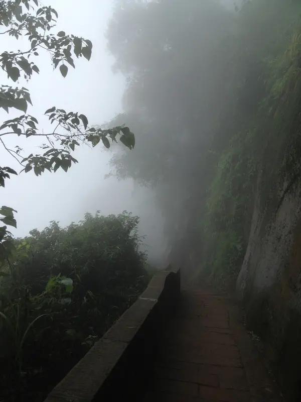 宜宾市长宁蜀南竹海,我的中国行