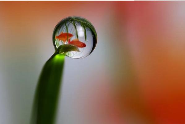 恒指期货短线交易技巧大全,恒指期货止损怎么设置