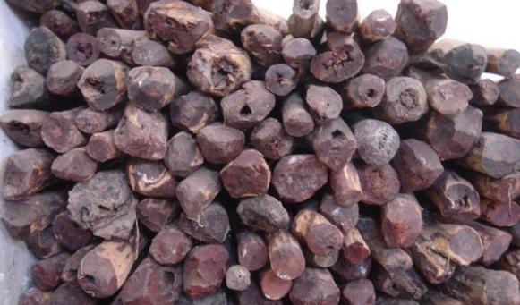 带你了解真正的印度,老料紫檀和印度小叶紫檀的区别