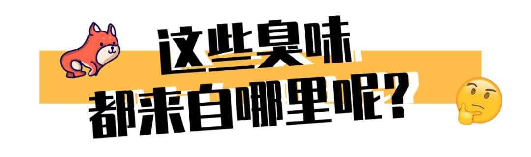 狗狗身上有异味脚还臭咋回事,狗狗身上有异味跟狗粮有关系吗