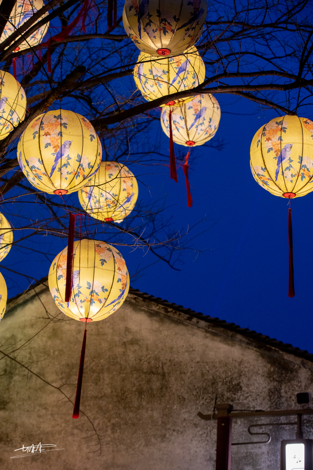 梦里水乡乌镇周庄风景视频,周庄版梦里水乡