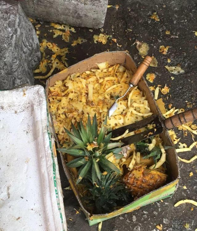 沤肥的最简单方法,豆渣做肥料教你不臭沤肥法