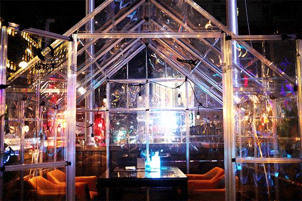 纽约第一酒吧,纽约第一家ladym