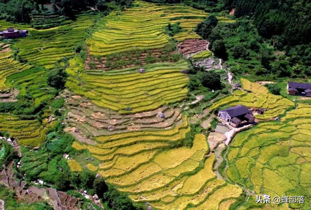 在农村最容易赚钱的五个行业,农村发财生意有哪些