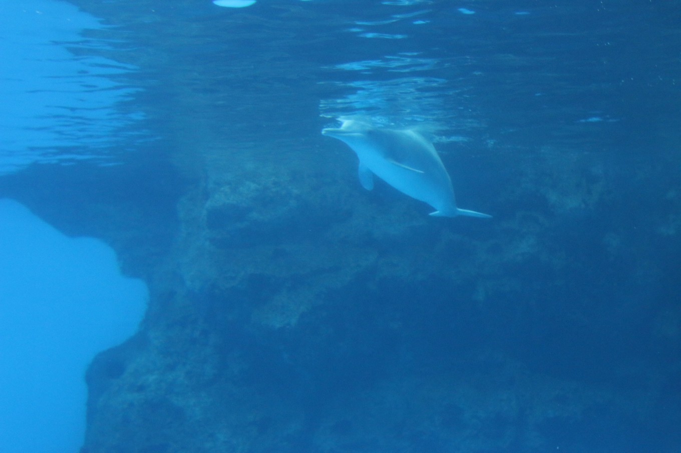 珠海长隆海洋王国攻略三天两夜,珠海长隆海洋王国必玩十大项目