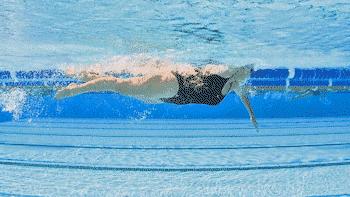 中游体育自由泳手脚配合视频,中游体育为什么自由泳打腿不前进