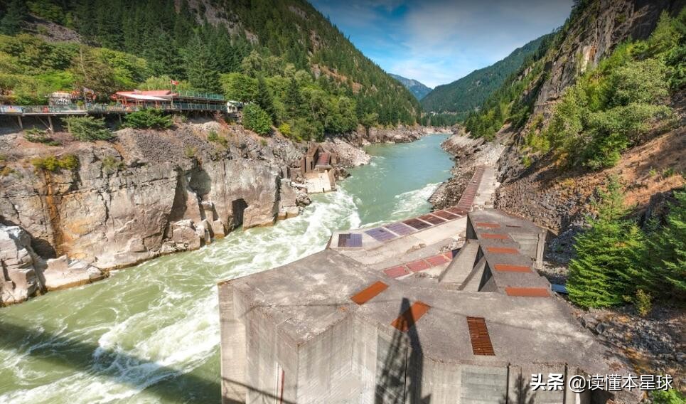 被人类吃到濒临灭绝的生物,被人类吃灭绝的凶猛的鱼