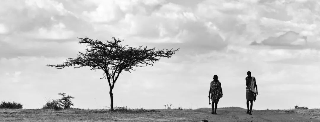 非洲马赛人：从狮口夺食的“战斗民族”