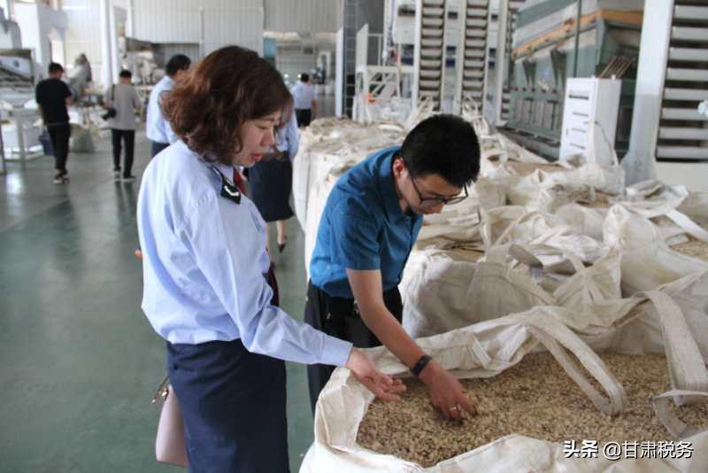 甘肃税务：小印花显身手稳外贸来助力