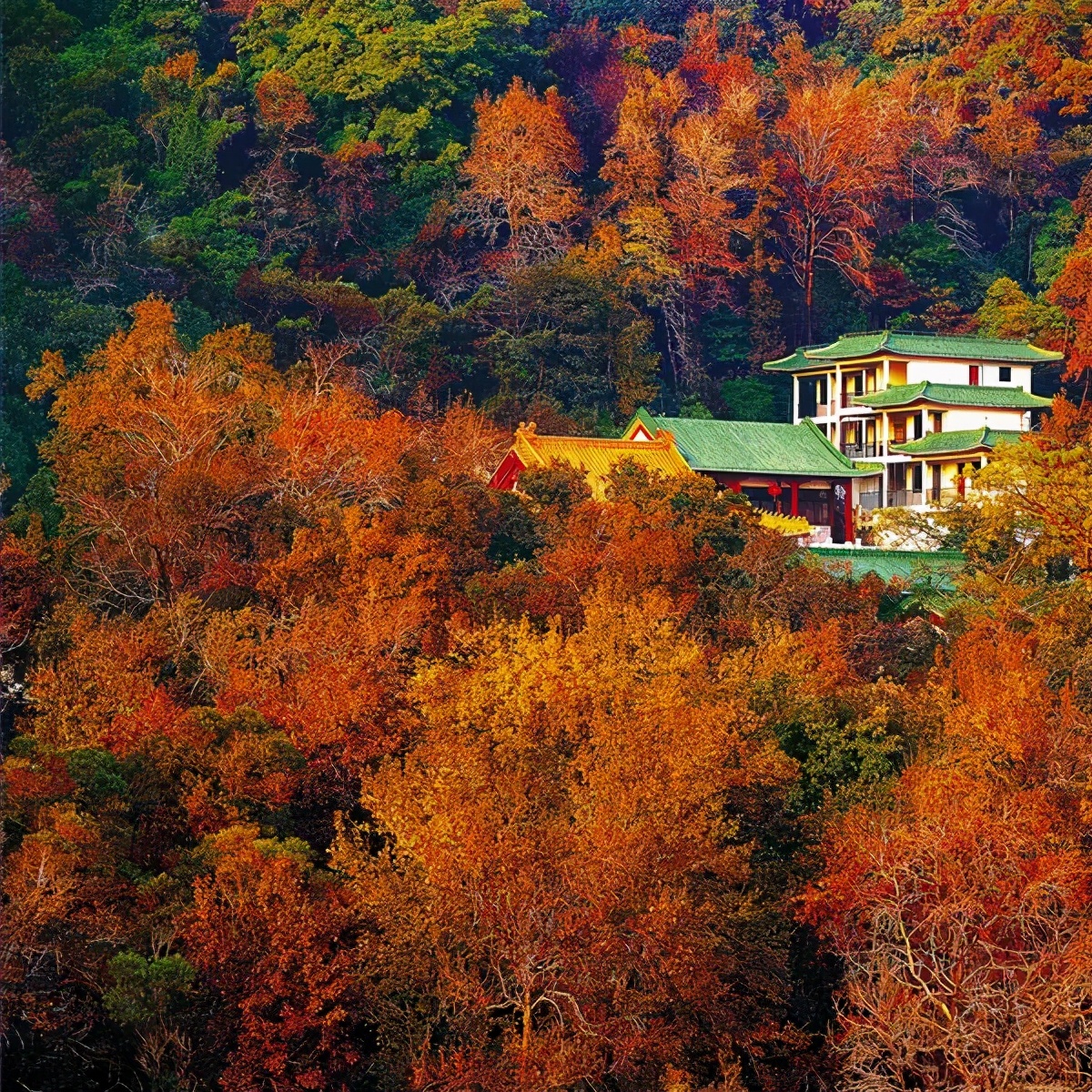 广东江门十大旅游景区排名,中山市都有哪些4a或者5a景区