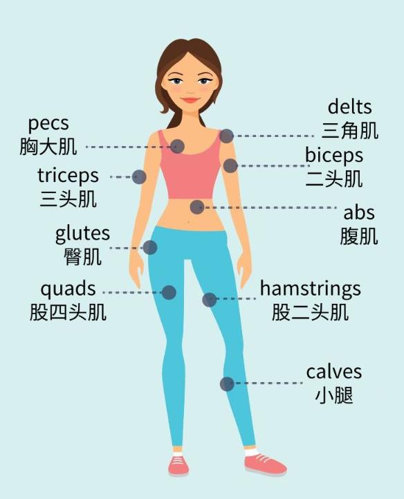 词汇|你知道这些健身英文如何表达吗？