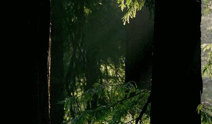 央美女生毕业作品,央美女生毕业