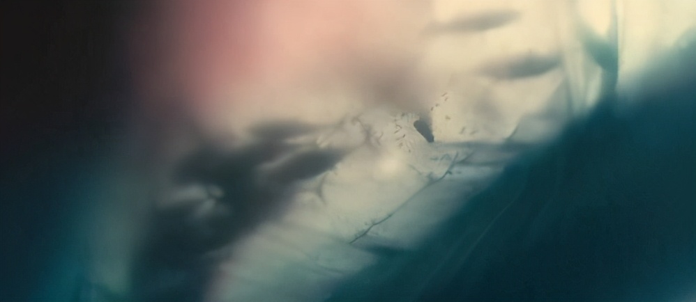 鱼翅是什么玩意儿,鱼翅是啥玩意儿