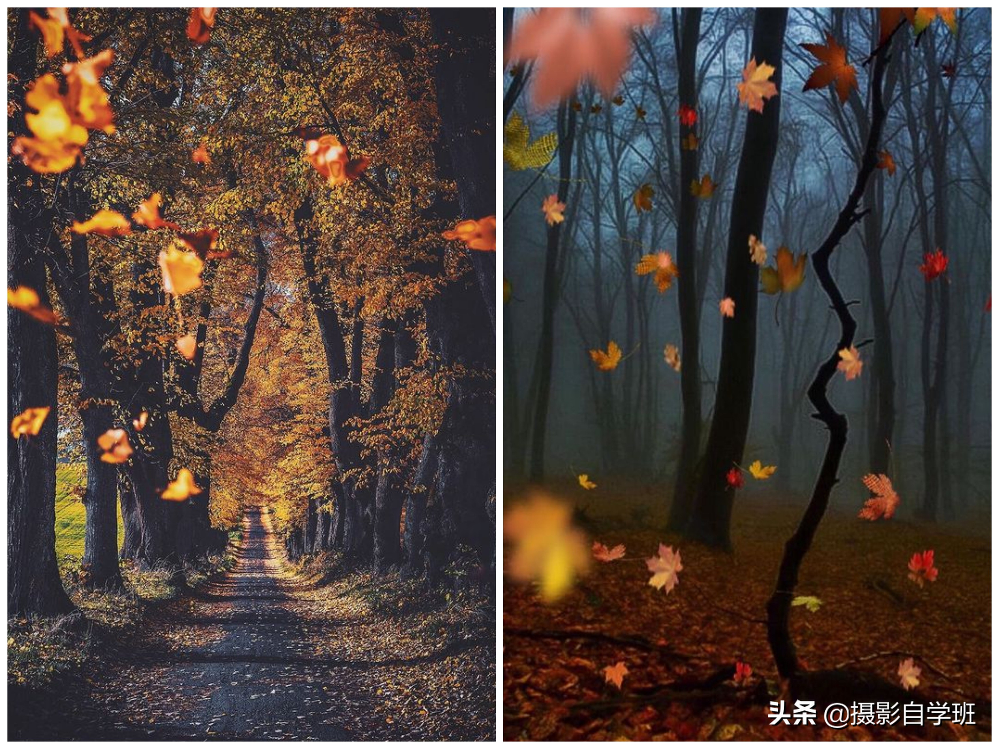 100个风景拍照技巧,风景摄影照片拍摄技巧