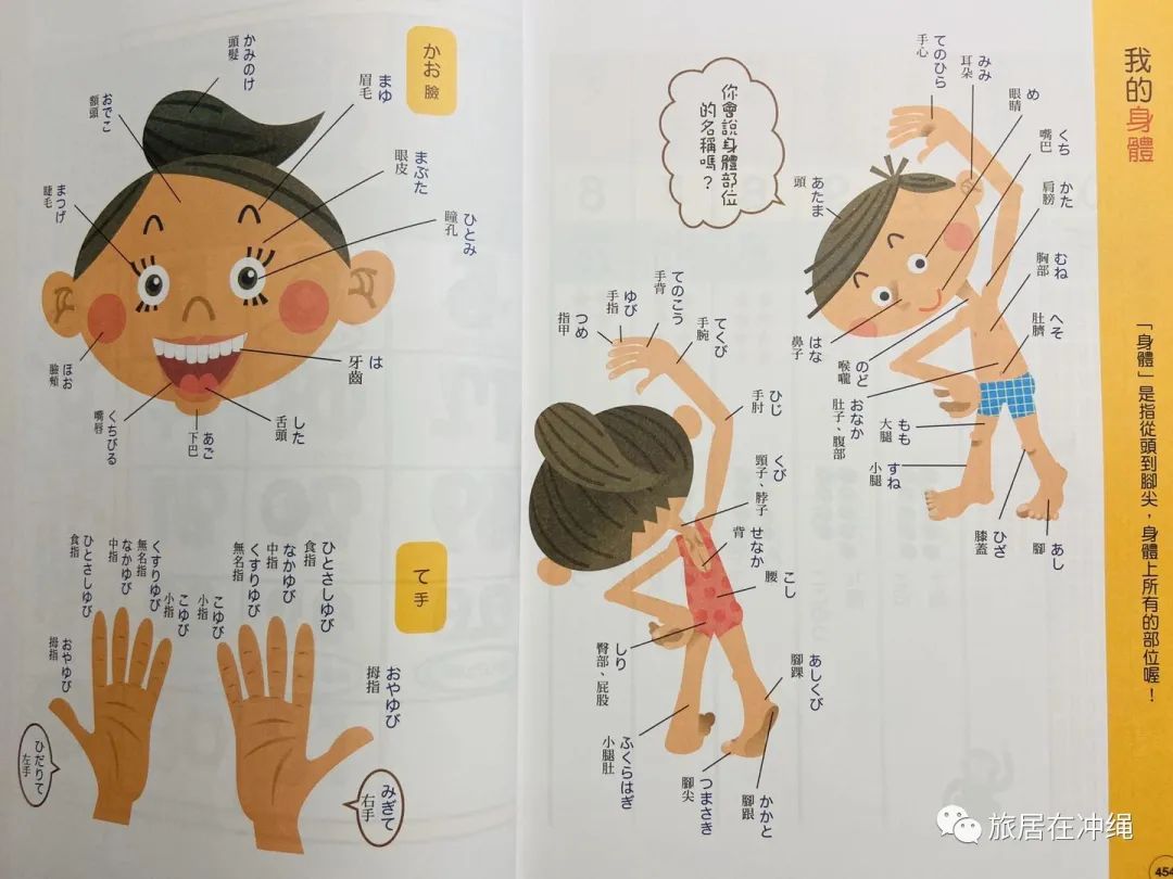 跟小孩一起学日语,我和孩子一起学英语