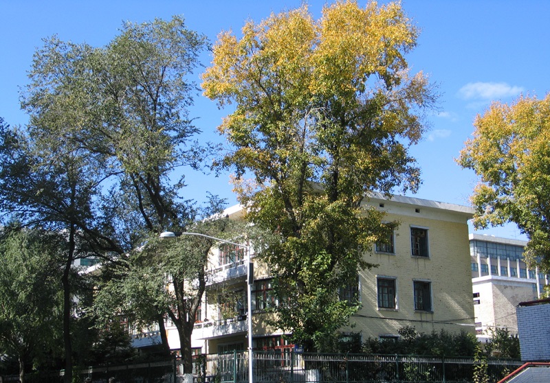 哈工大凭什么成为“东北一哥”，报考难度大，学科实力强