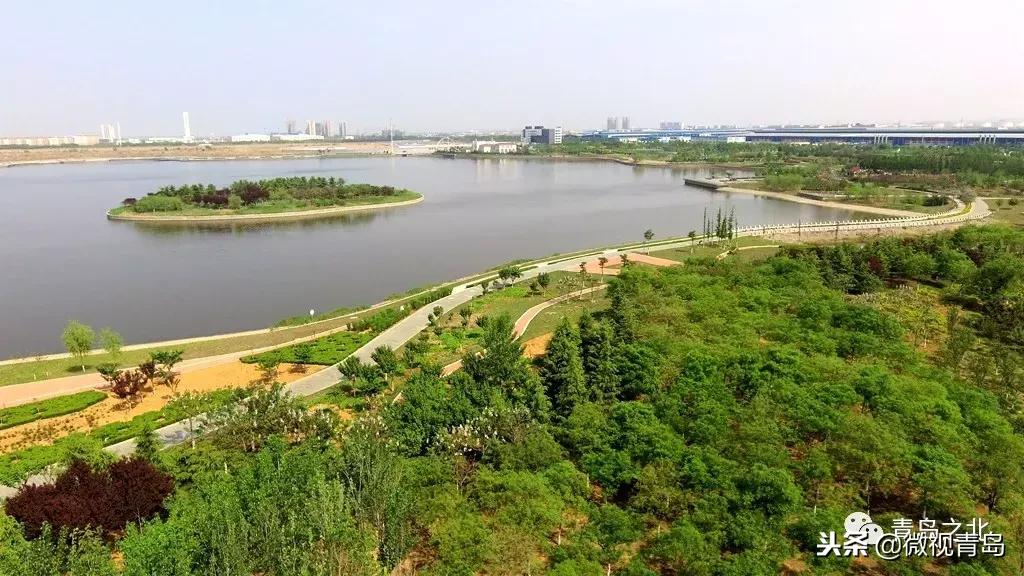 胶州经济开发区和少海片区对比,胶州经济技术开发区规划图