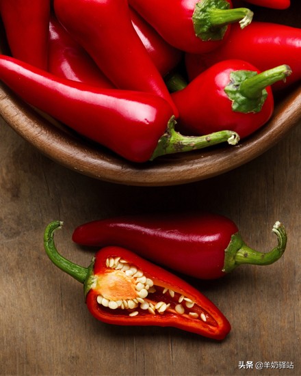 九种体质适合吃什么,九种体质适合吃什么蔬菜