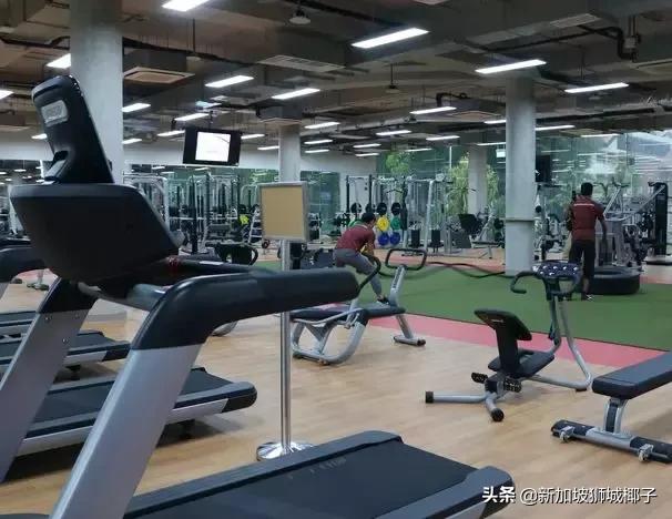 新加坡旅游攻略推荐花园,新加坡花园最新消息