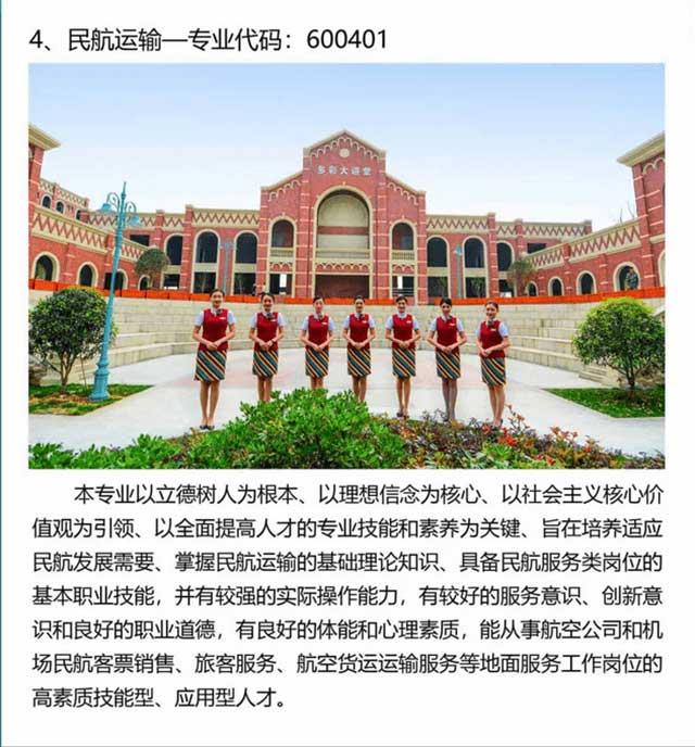 四川东星航空职业学院,成都市东星航空旅游职业学院