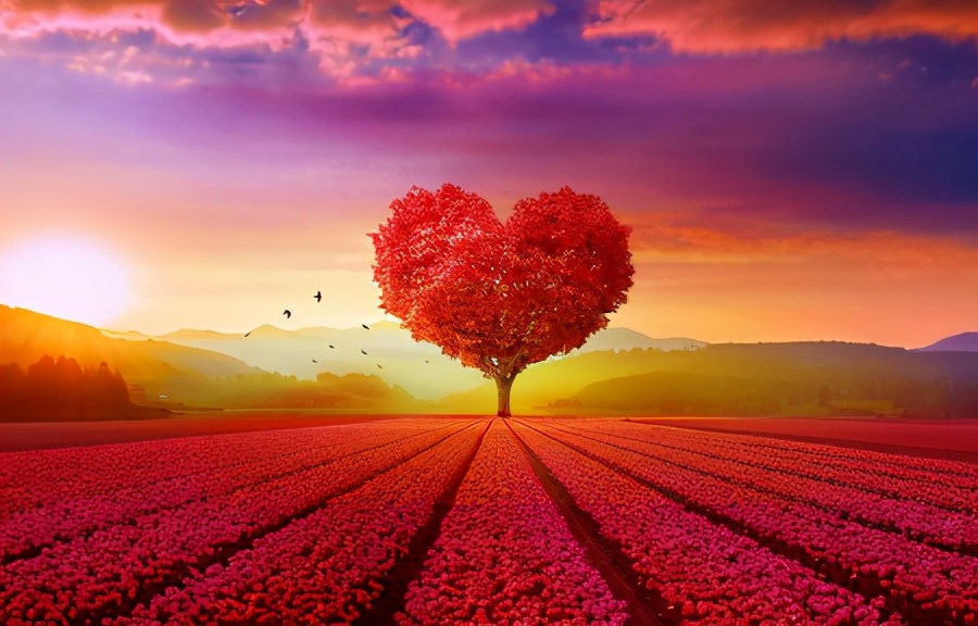 50张顶级绝美风景壁纸,绝美的海边风景图片壁纸