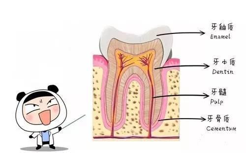 陶瓷还能用来做矫正?怎么做到的?