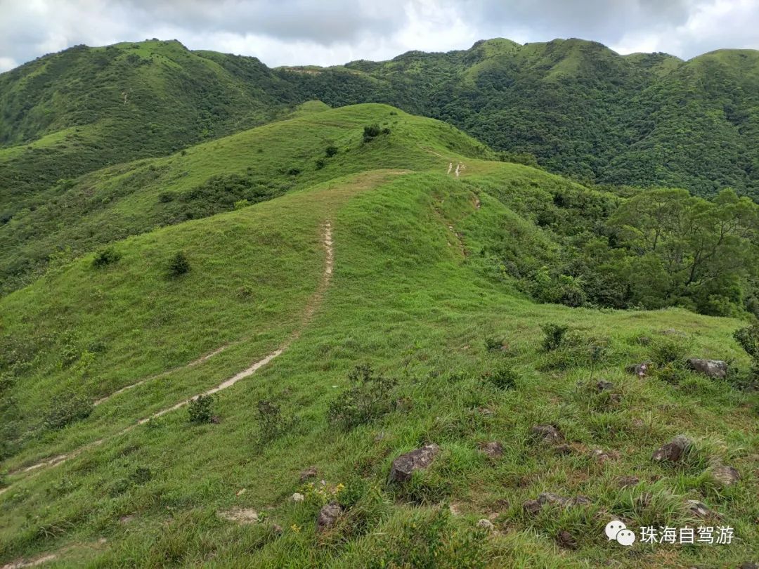 大山峰水牛坪露营记,东岸岭露营徒步