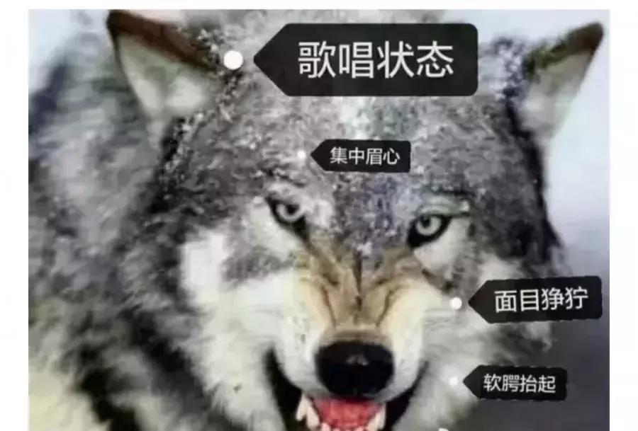 当艺术生是多么的辛苦,为什么做一个艺术生