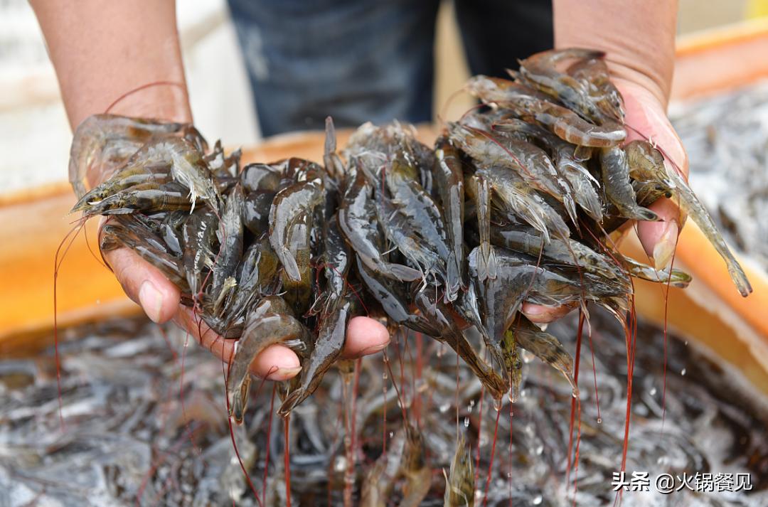 北海正宗海味鲜虾虾滑,广西北海新鲜虾滑