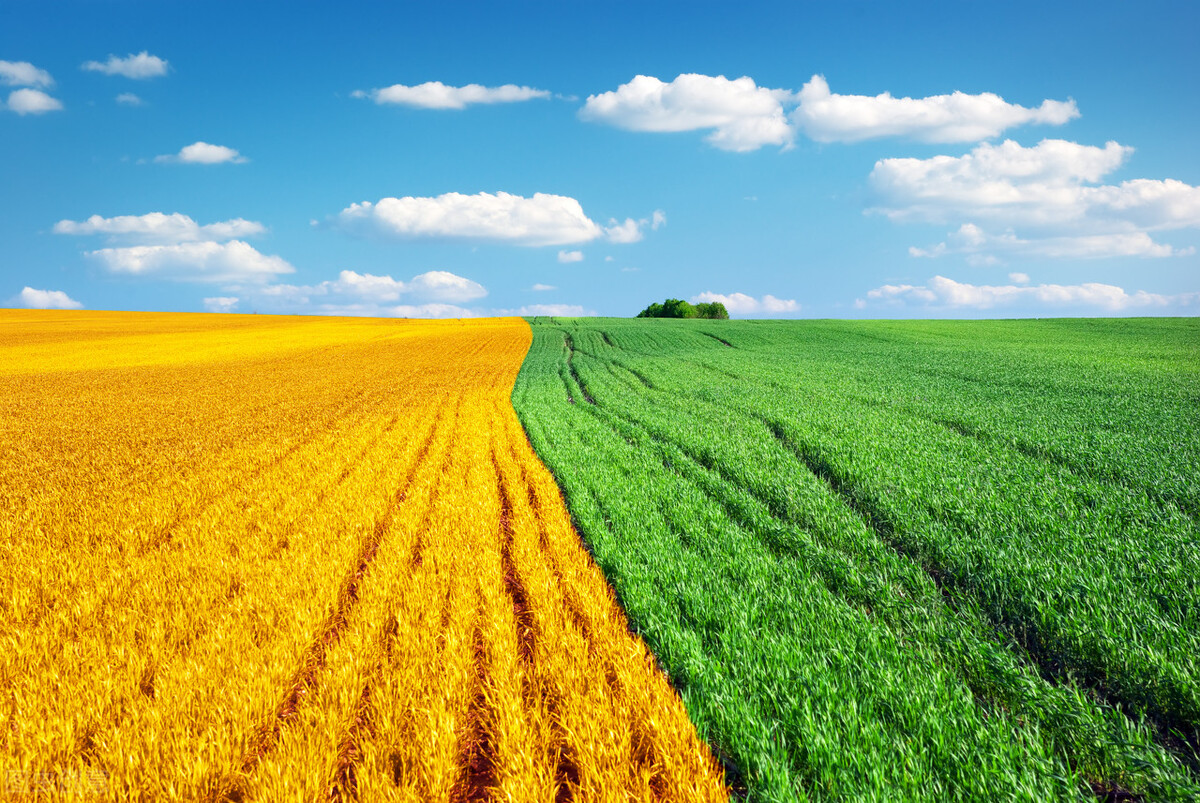 2021福州市项目开发,福州100项重大项目