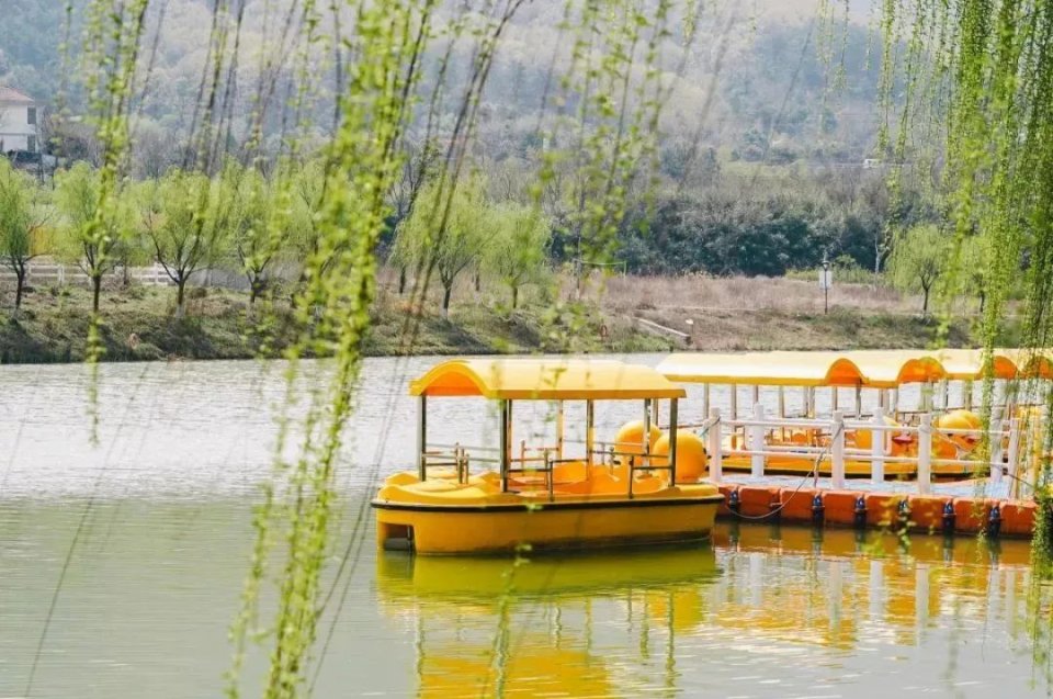 五一不能错过的花海,五一不能错过的美丽花海