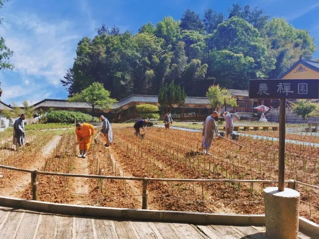 抢抓农时开展农业生产,农民纷纷抢抓春耕生产有利时机