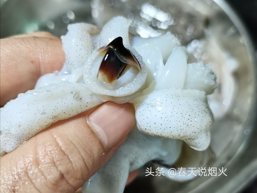 墨鱼炒什么菜好吃,墨鱼炒什么菜好吃又简单