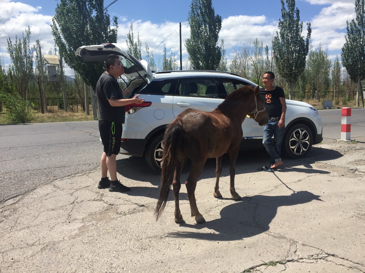 高档大气上档次宝马最强量产suv,国产宝马新suv