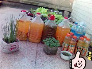 环保种菜酵素制作方法,环保酵素用什么果皮做出来