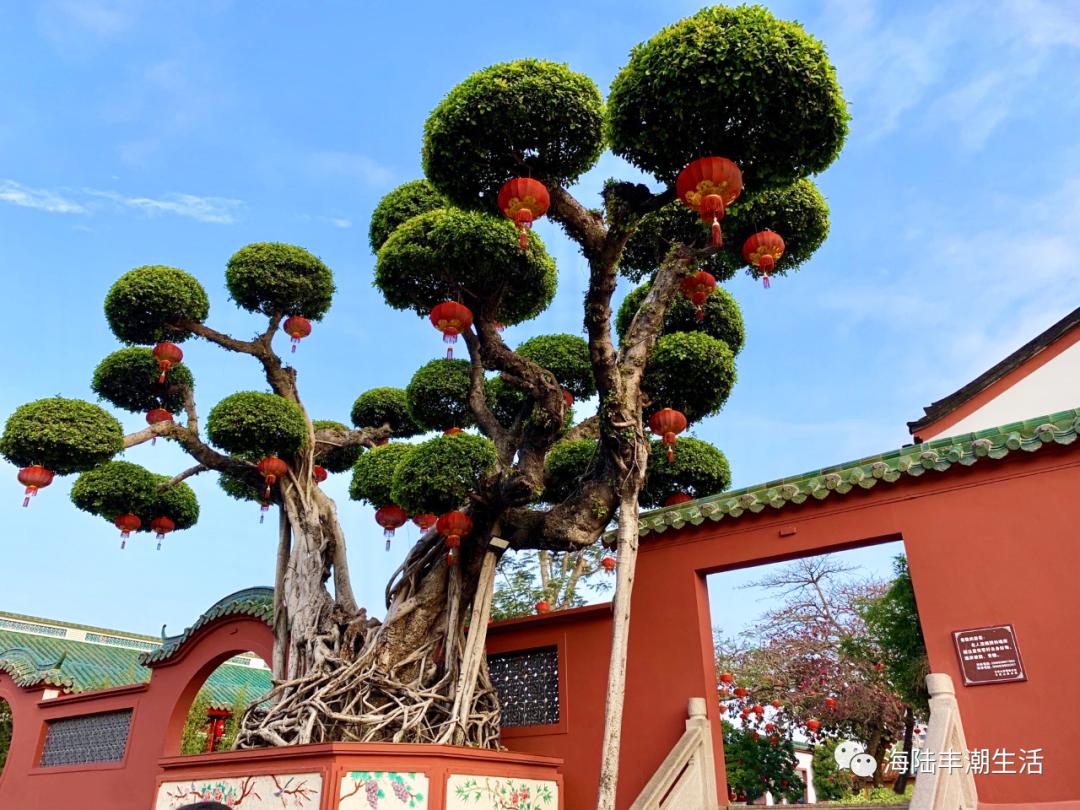 汕尾玄武山佛祖定位,汕尾玄武区