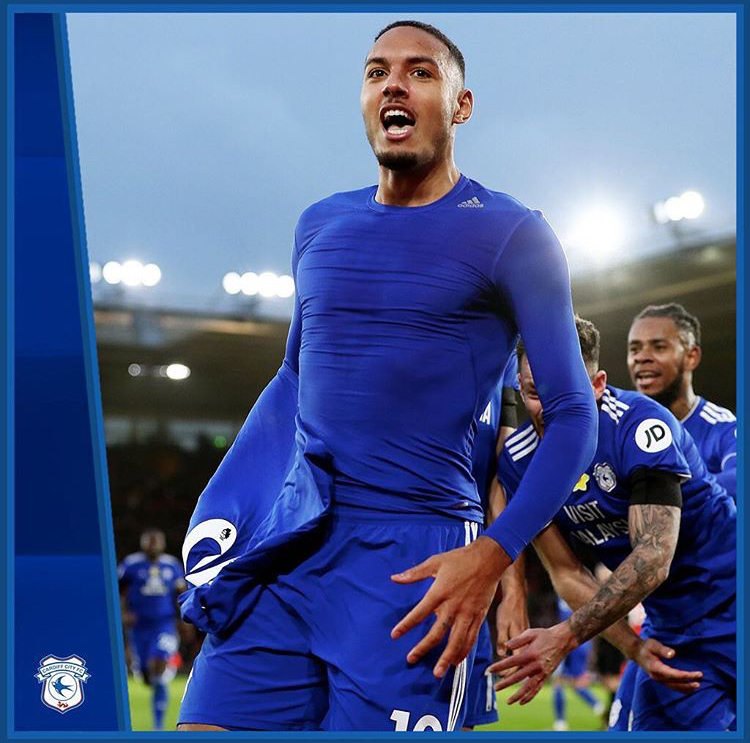 鑻辫秴鎸戣涓诲満鐞冭糠,鑴戞畫鐞冭糠