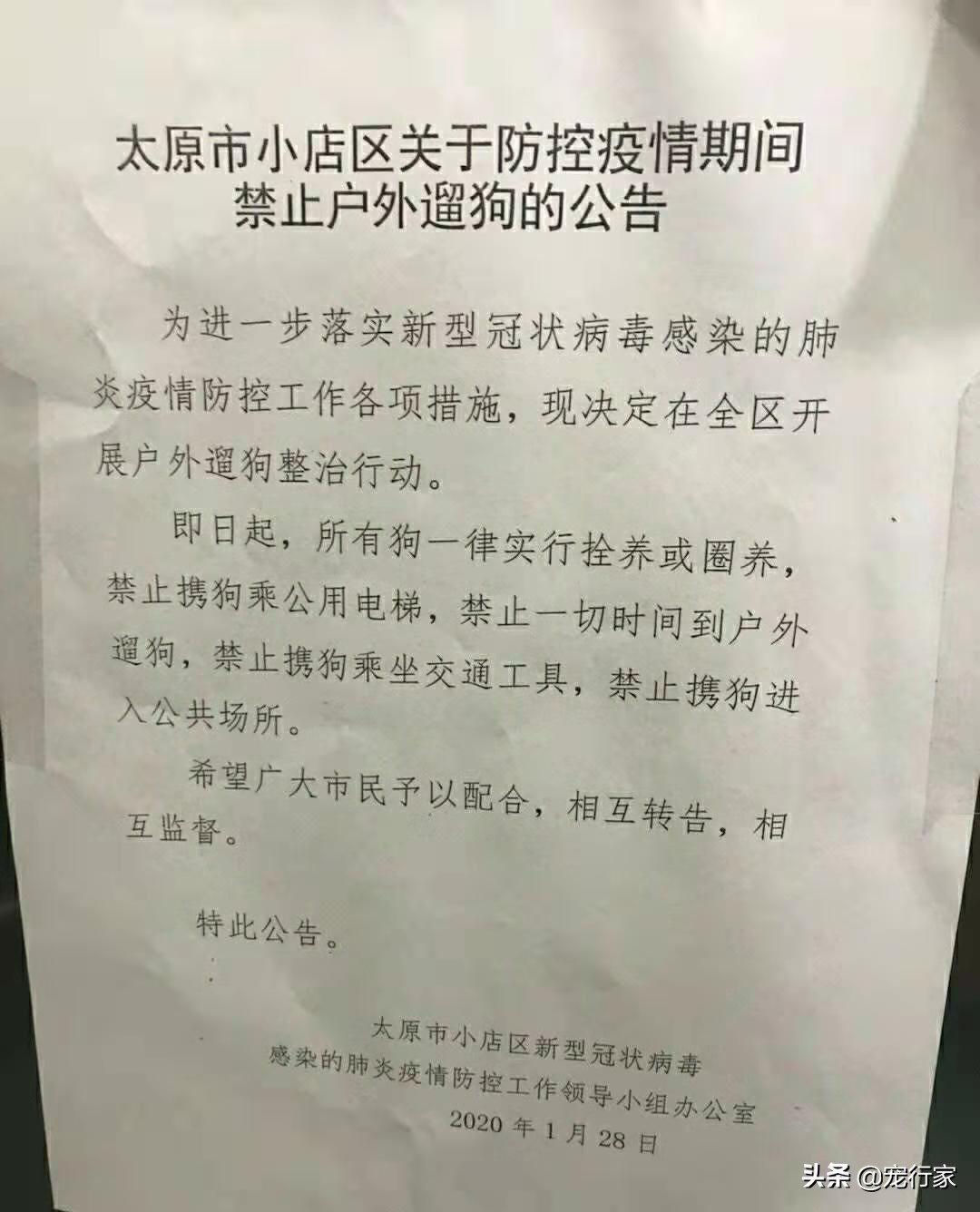 外出遛狗狗狗上厕所怎么办,狗在家定点上厕所可以不遛吗