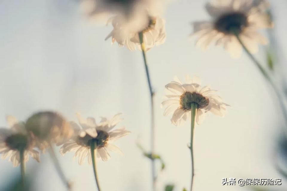 招商信诺醇悦人生院外靶向药物,招商信诺醇悦人生有医疗卡吗