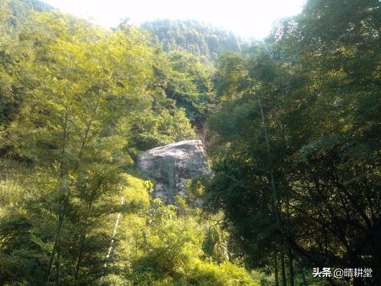 赣州峰山附近一日游自驾游景点,赣州峰山美景